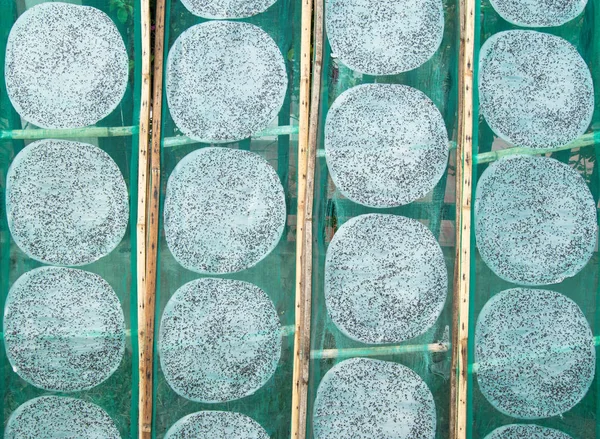 Bandejas con tortitas de arroz secas al sol —  Fotos de Stock