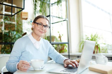 Kafede dizüstü bilgisayar önünde oturup, çay içiyor ve araştırıcı belgili tanımlık ağ veya sohbet online kulaklık ile modern Olgun kadın
