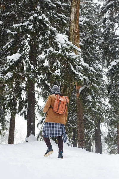 冬の日に雪で覆われた Firtrees の間で雪の吹きだまりで歩くバックパッカーと若いトリッパーの背面図 — ストック写真