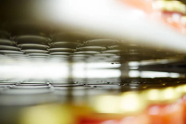 Reflexão Topos Latas Com Caviar Outros Frutos Mar Prontos Para — Fotografia de Stock