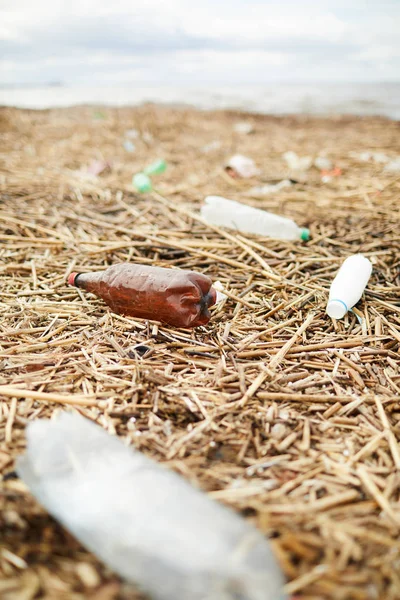 Brzegu Rzeki Ziemi Suchej Trawy Mnóstwo Starych Plastikowych Butelek Które — Zdjęcie stockowe
