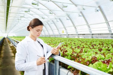 Genç bilim adamı onun çalışma notları özellikleri yeni bir tür yeşil marul okurken okuma