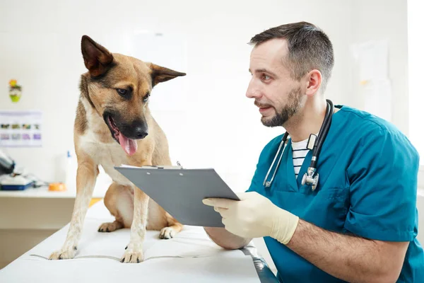 Σύγχρονη Κτηνίατρος Λήψη Σημειώνει Στην Κάρτα Υγείας Σκύλο Και Δείχνει — Φωτογραφία Αρχείου
