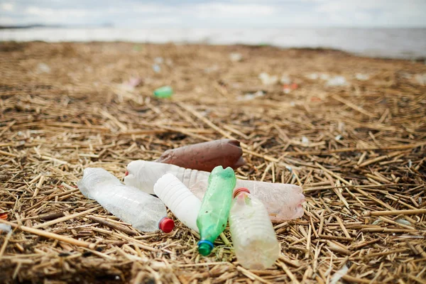 Heap Dirty Used Plastic Bottles Dry Grass River Bank Territory — Stock Photo, Image