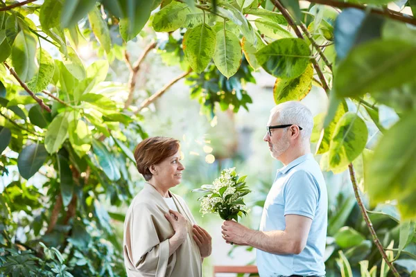 Zralý Muž Dává Spoustu Svěží Aromatické Lilie Údolí Své Manželce — Stock fotografie