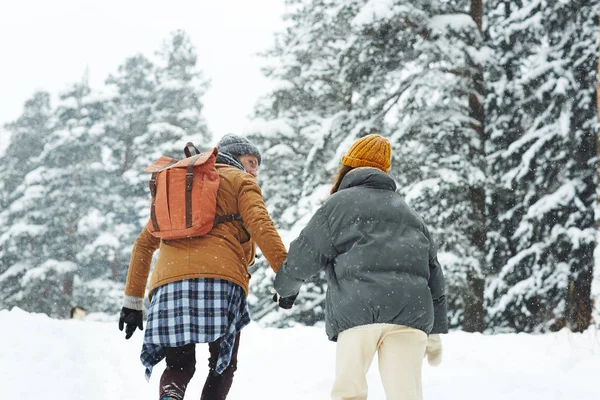 Backs of traveling couple in winterwear walking along forest on snowy winter day