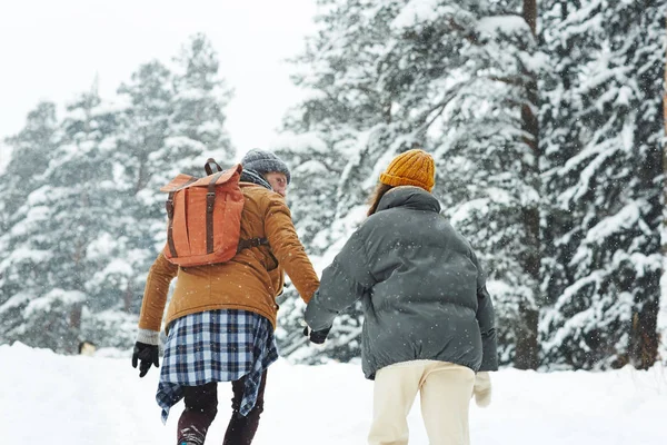 Backs Couple Voyageur Vêtements Hiver Marchant Long Forêt Jour Hiver — Photo