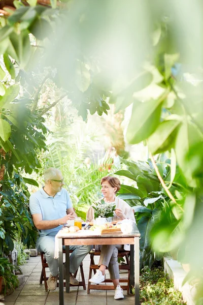 Pareja Madura Contemporánea Conversando Mientras Relaja Por Mesa Servida Jardín —  Fotos de Stock