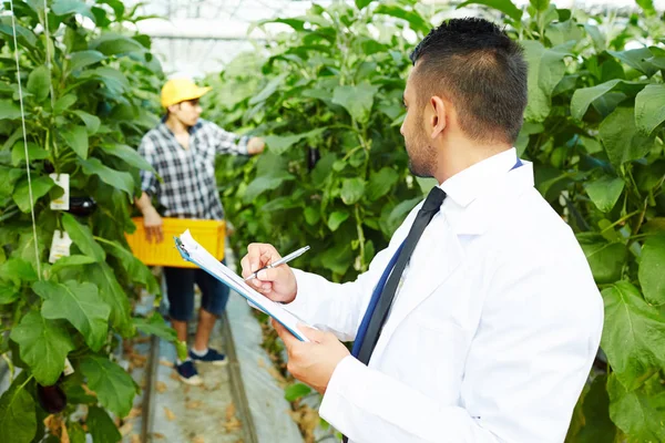 Agroengineer Whitecoat 制作科学笔记 看农民工作背景 — 图库照片