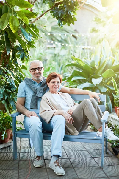 深情的老年夫妇坐在长凳上的大型绿色植物 而享受他们的旅行在度假胜地 — 图库照片