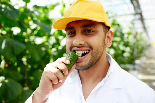 Feliz Jovem Hothouse Pessoal Mordendo Pepino Maduro Olhando Para Câmera — Fotografia de Stock