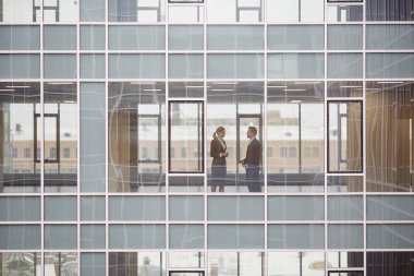 Bir büyük pencere ile modern ofis merkezi kat üzerinde konuşmayı genç iş ortakları