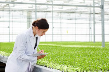 Yeni marul glasshouse içinde türlü eğitim sırasında Not Defteri'nde kadın agro-mühendis yapım notları