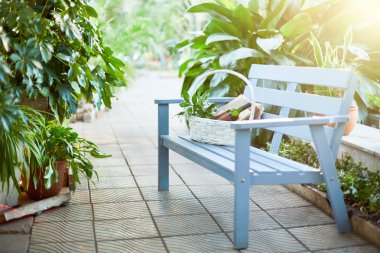 Hafif mavi ahşap Bank ve sepet piknik veya romantik tarih için bahçede hazırlanan Hükümler ve