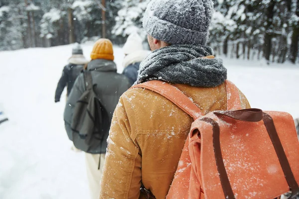 Achteraanzicht Van Backpackers Wandelen Rij Tijdens Hun Reis Winter Bos — Stockfoto