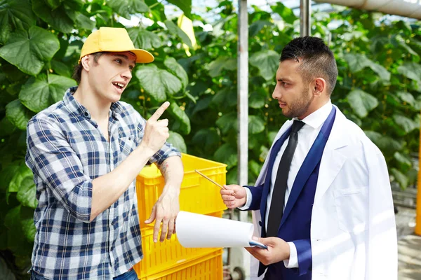 Junger Treibhausarbeiter Kommentiert Meinung Des Agraringenieurs Während Der Diskussion Seiner — Stockfoto