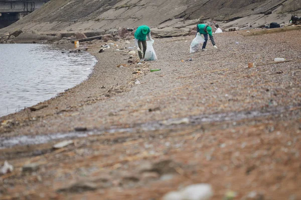 Два Волонтера Гринпис Собирают Мусор Время Прогулки Вдоль Береговой Линии — стоковое фото