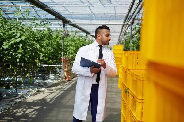 Jovem Agroengenheiro Estudando Novos Tipos Vegetais Cultivados Estufa — Fotografia de Stock