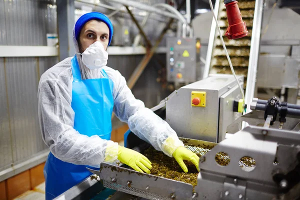 Jonge Man Het Masker Handschoenen Overall Camera Kijken Tijdens Het — Stockfoto