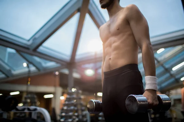 Young Muscular Athlete Doing Exercises Heavy Dumbbells While Training His — Stock Photo, Image