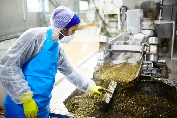 Zeevruchten Fabriek Personeel Staande Door Productielijn Mengen Van Zeewier Salade — Stockfoto
