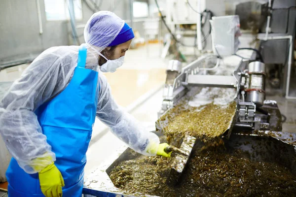 Skaldjur Fabriken Personal Stående Produktionslinje Och Blanda Algsallad Stora Behållare — Stockfoto