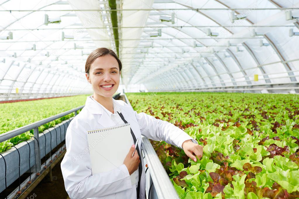 Young successful agro-engineer standing by large plantation of lettuce in glasshouse