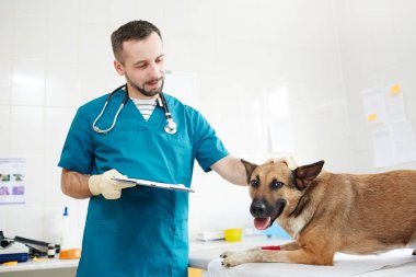 Check-up sonrası sağlık masasında hasta köpek sarılma belge ile Veteriner