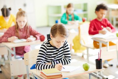 Sınıfta test sorularını yanıtlayan konsantre öğrenciler: göreve odaklanan ve boş doldurma yakan kazak giyen ciddi çocuk