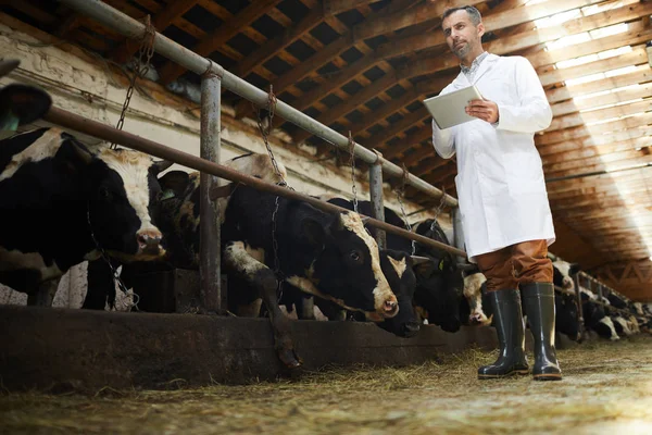 Retrato Bajo Ángulo Del Trabajador Agrícola Maduro Que Usa Bata — Foto de Stock