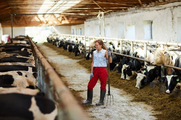 Retrato Comprimento Total Jovem Mulher Moderna Limpeza Celeiro Galpão Vaca — Fotografia de Stock