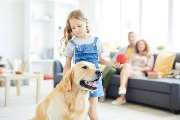 Fluffy Renrasiga Retriever Och Liten Flicka Som Leker Hemma Med — Stockfoto