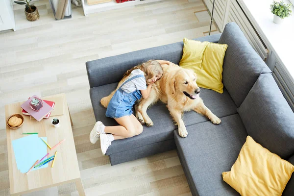 Visão Geral Menina Cansada Dormindo Sofá Com Seu Animal Estimação — Fotografia de Stock