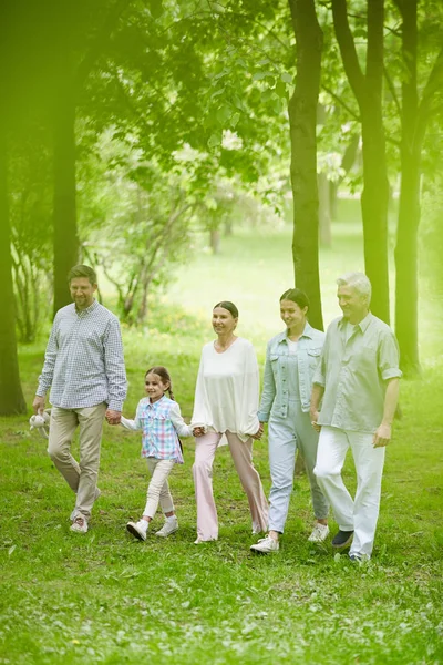 Happy Family Five Moving Green Lawn Natural Environment Summer Day — Stock Photo, Image