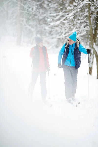 Coniugi Anziani Activewear Chattano Durante Allenamento Sciistico Nella Foresta Invernale — Foto Stock