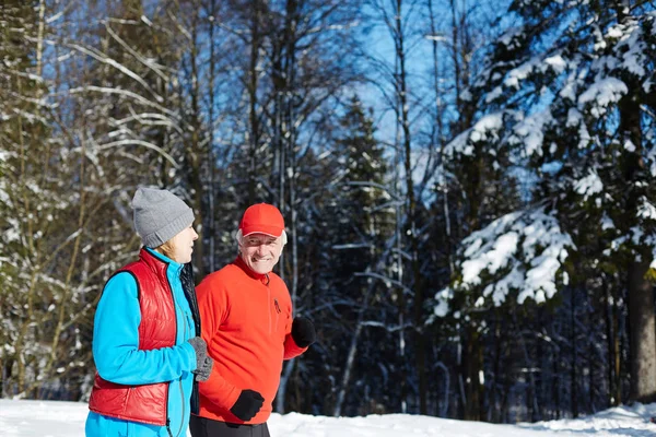 Érett Házastársak Sportruházat Miután Beszélgetés Miközben Jogging Téli Erdőben Vagy — Stock Fotó