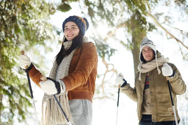 Cintura Hacia Arriba Retrato Feliz Pareja Joven Esquiando Bosque Invierno —  Fotos de Stock