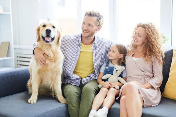 Vrolijke Vader Moeder Dochter Kijken Naar Hun Raszuivere Huisdier Terwijl — Stockfoto