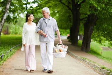 Yaz gününde piknik yapmaya devam ederken, parkta yolda yürüyen amorous yaşlılar