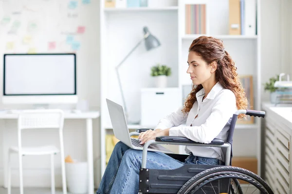 Νεαρή Γυναίκα Casualwear Κάθεται Αναπηρική Καρέκλα Laptop Μπροστά Και Ψάχνει — Φωτογραφία Αρχείου