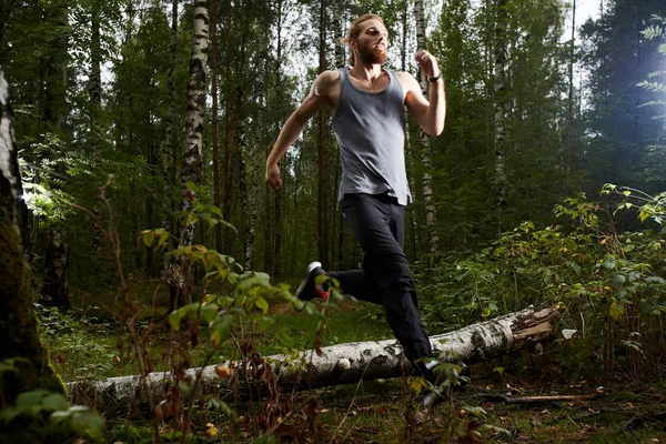 白樺の森で朝走り 夏の朝を楽しむスポーツウェアのアクティブな男性 — ストック写真