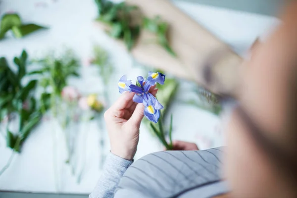 他の花や緑の葉と机の上に若い花屋の手に青いアイリスの花 — ストック写真