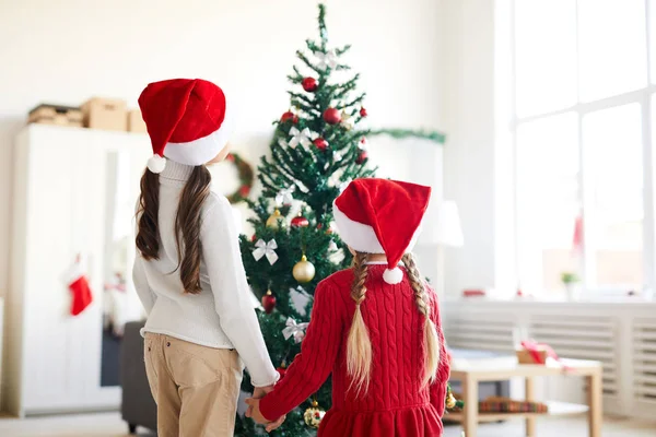 크리스마스 트리를 보면서 손으로 스웨터와 모자에 형제의 후면보기 — 스톡 사진