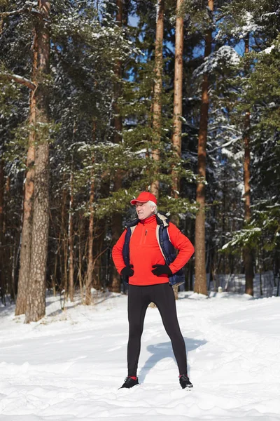 Olgun Sporcu Kış Ormanda Egzersiz Sırasında Akimbo Poz Rüzgârla Oluşan — Stok fotoğraf