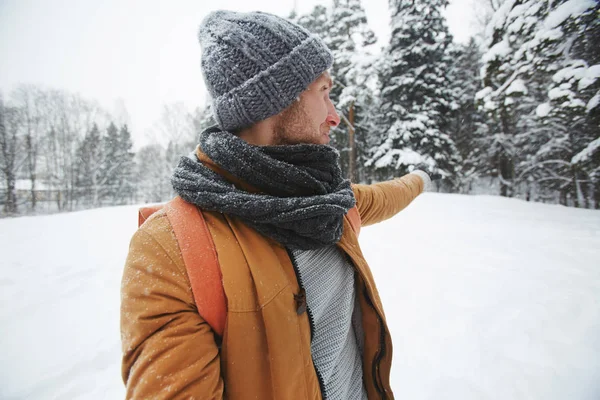 Content Young Man Stubble Showing Direction Winter Forest While Hiking — Stock Photo, Image