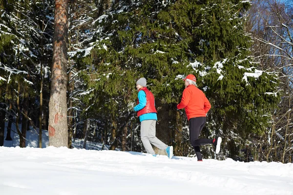 Aktywny Wieku Para Sportowej Uruchomiona Zimowym Lesie Wśród Śniegu Zapachem — Zdjęcie stockowe