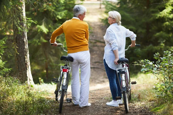 Seniorenpaar Mit Fahrrädern Unterhält Sich Während Fahrt Auf Waldweg — Stockfoto