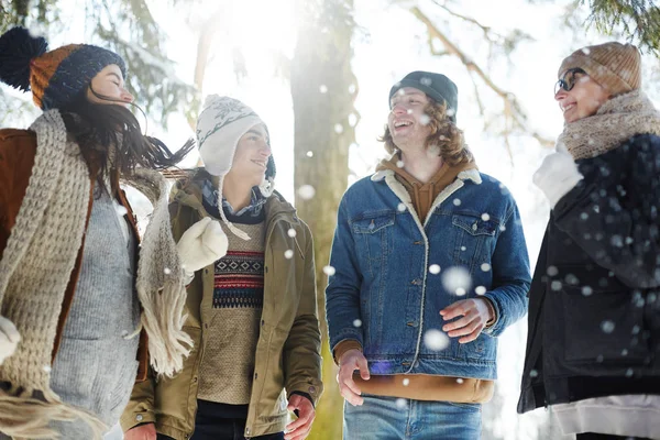 Grupo Cuatro Jóvenes Felices Disfrutando Caminar Hermoso Bosque Invierno Bajo —  Fotos de Stock