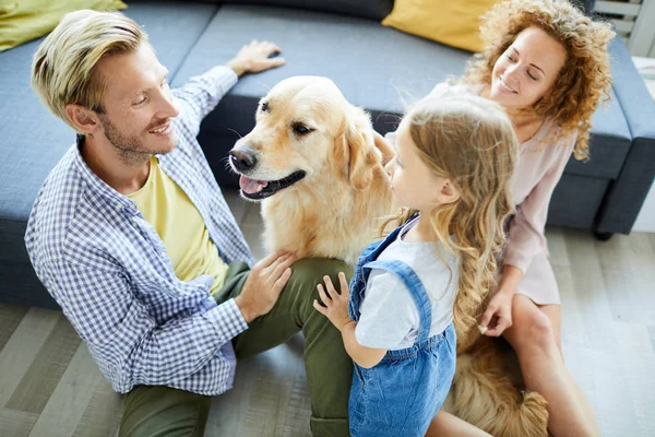 3人の若い家族がソファで床に座り ペットと話したり遊んだりしています — ストック写真