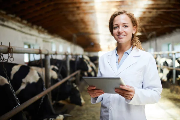 Retrato Cintura Hacia Arriba Del Veterinario Femenino Alegre Sonriendo Mirando — Foto de Stock